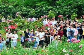 沸騰的小山村——伏虎寺外桃源，令人震撼的美！